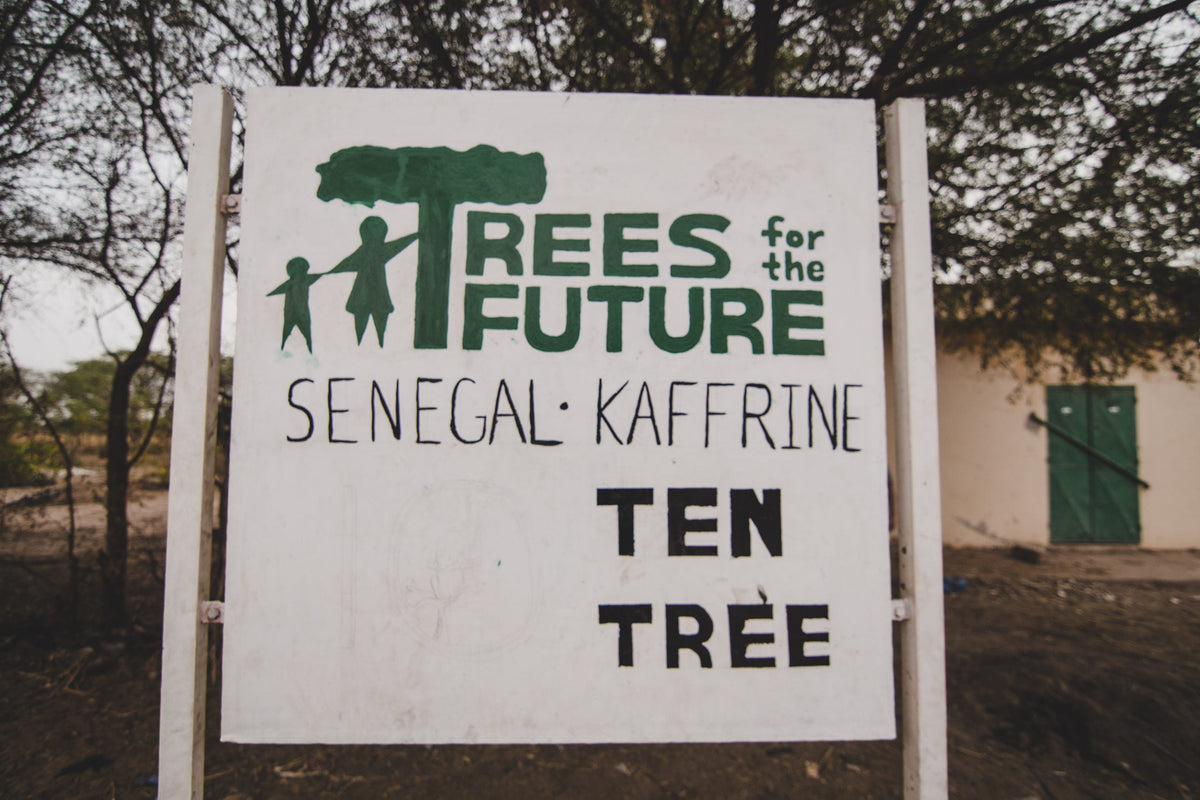 Success Story From Senegal
