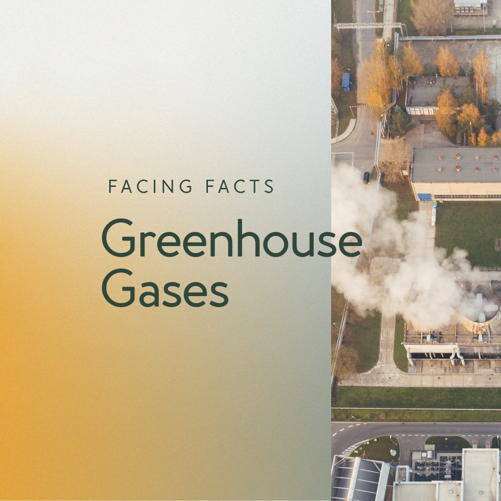Facing Facts Part 1