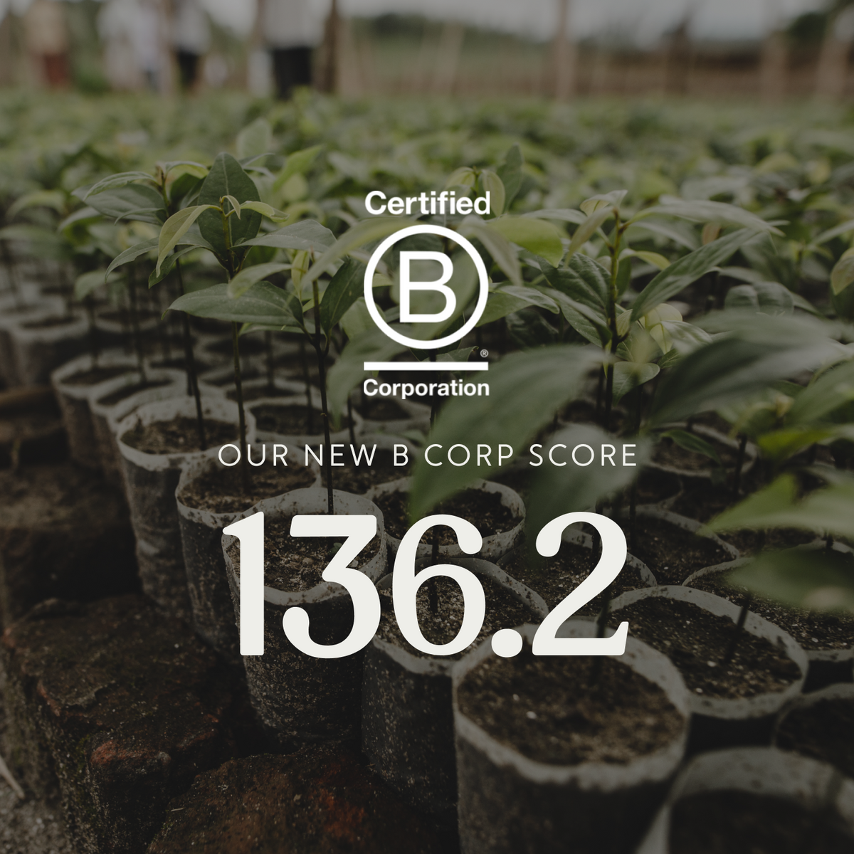 We Have a New B Corp Score