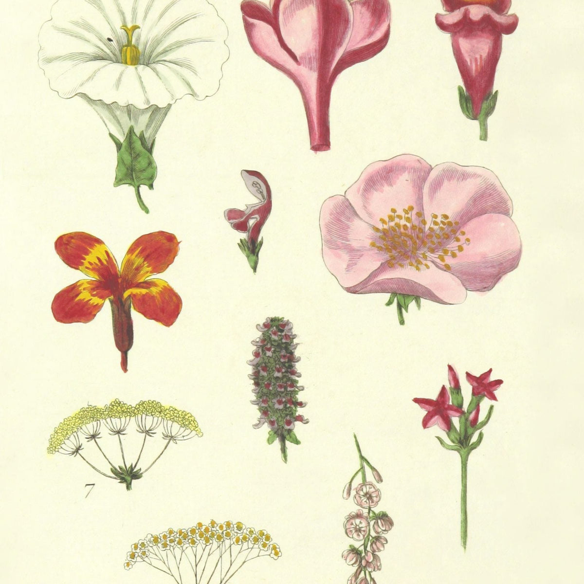 10 Famous Art Pieces Inspired By Nature