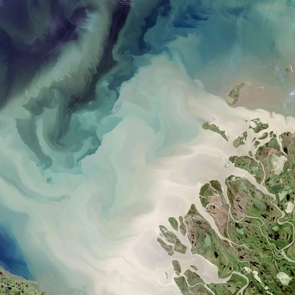 Indigenous Environmental Projects You Should Know About
