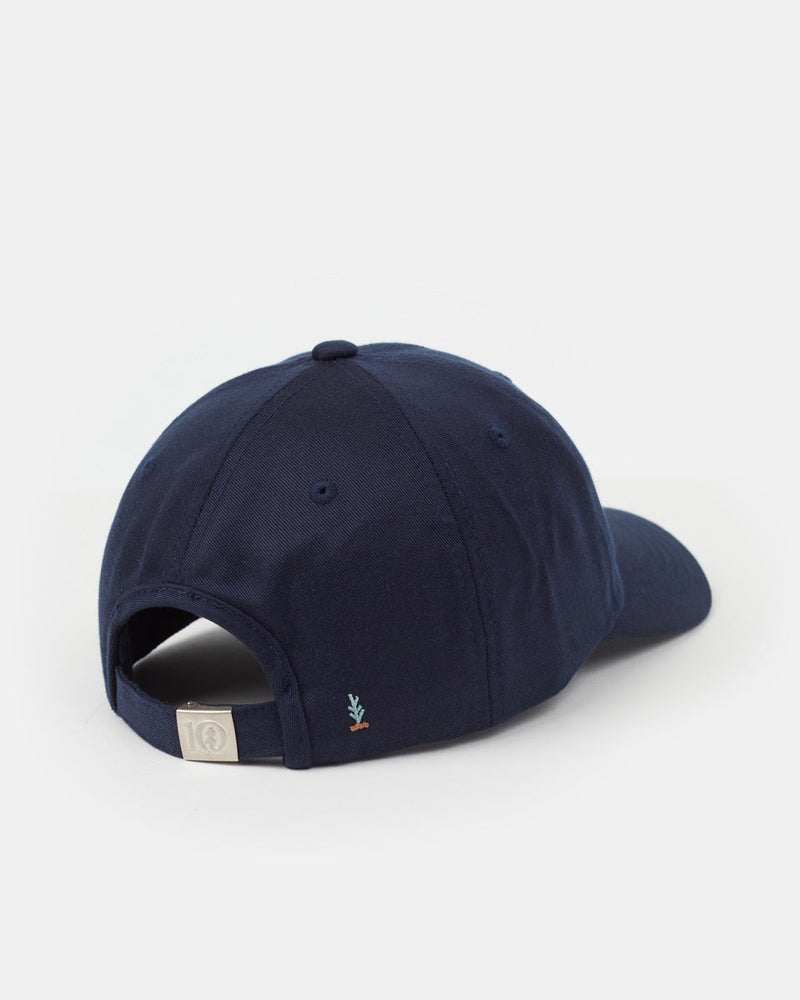 Blue-Adjustable-Graphic-Baseball-Cap