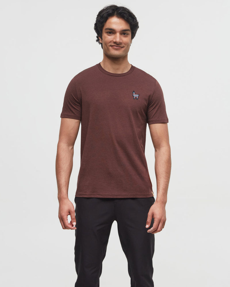 Burgundy-Crew-Neck-Graphic-Tee