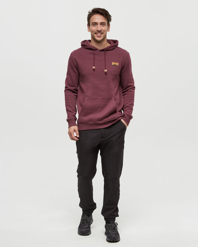 Burgundy-Eco-Friendly-Drawcord-Graphic-Hoodie