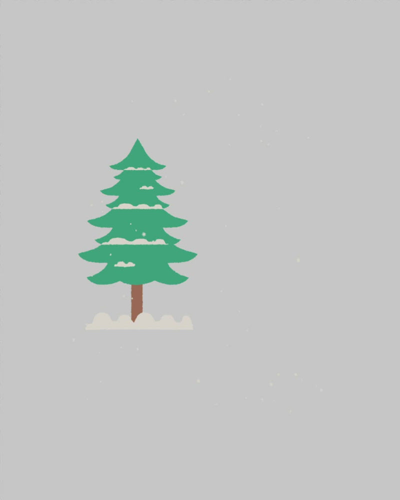 Plant in a Boreal Forest