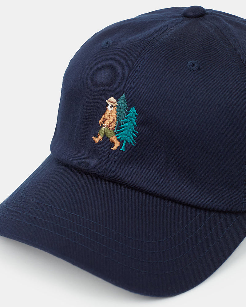 Blue-Adjustable-Eco-Friendly-Baseball-Cap