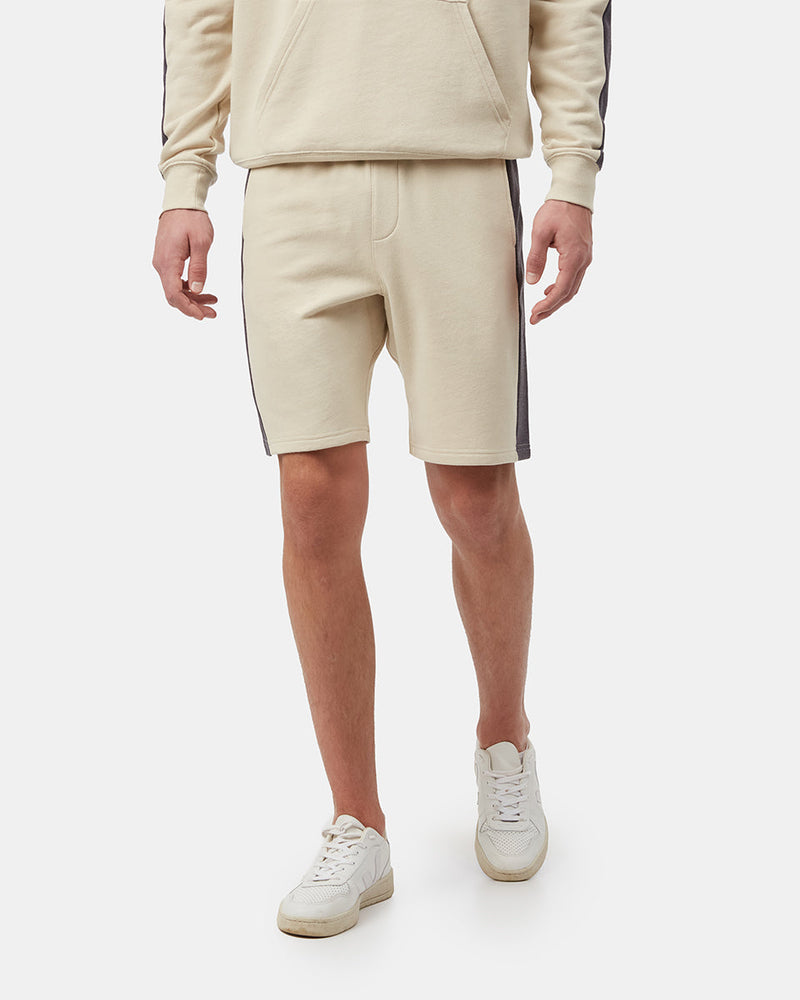 Brown,Gray Men's Organic Cotton Block Stripe Sweatshorts