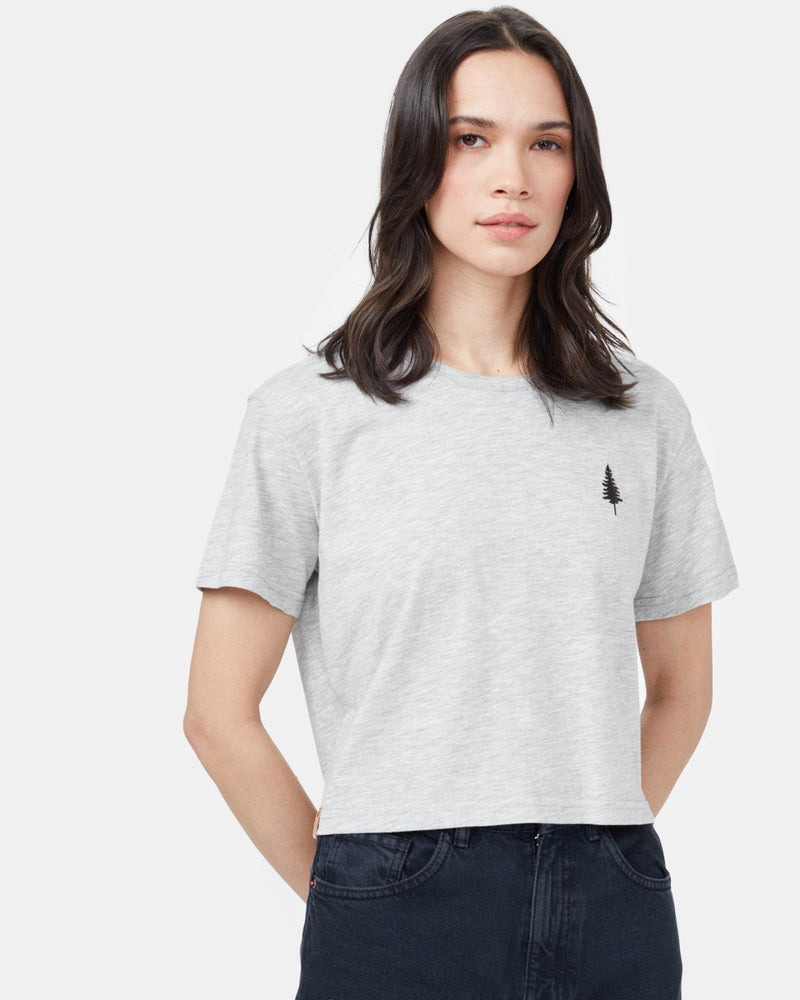 Gray Cropped Short Sleeve T-Shirt