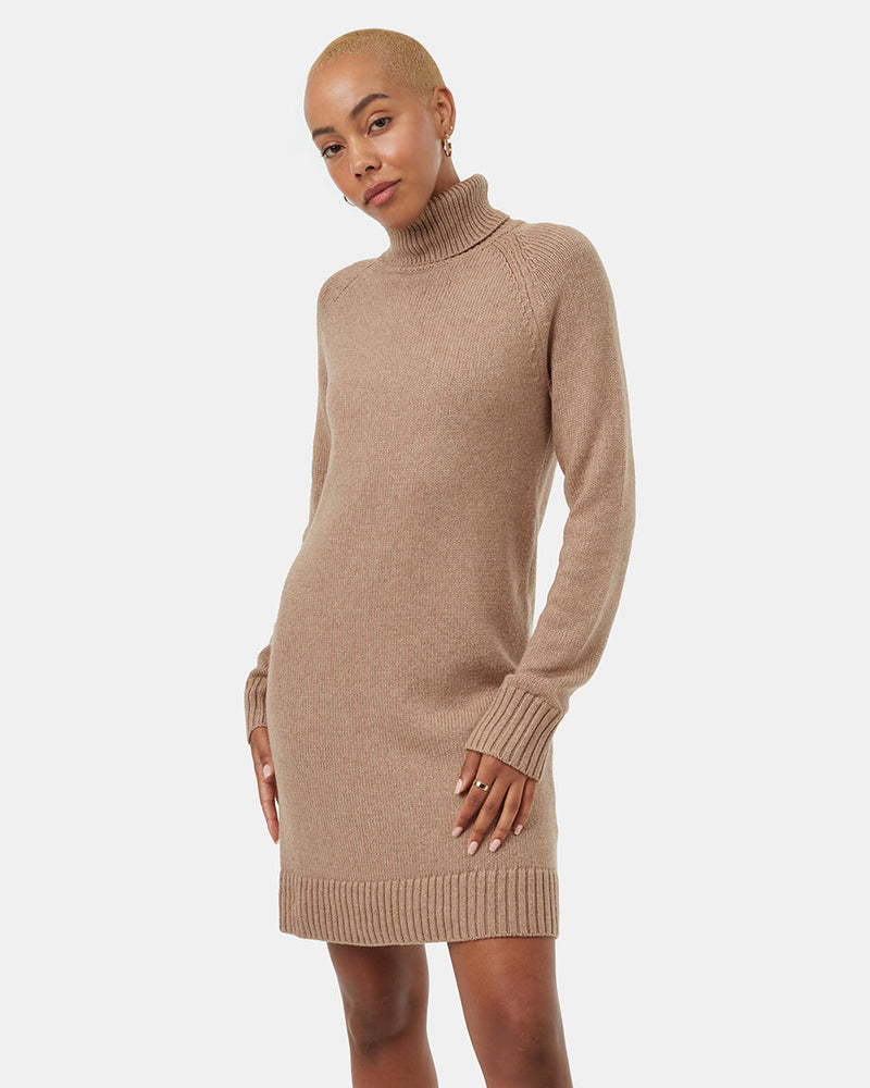 Women's Turtleneck Sweater Dress