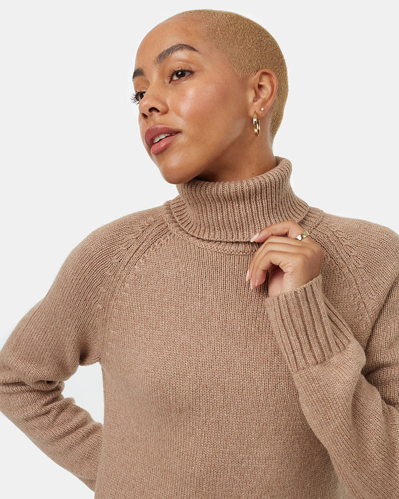 Women's Turtleneck Sweater Dress
