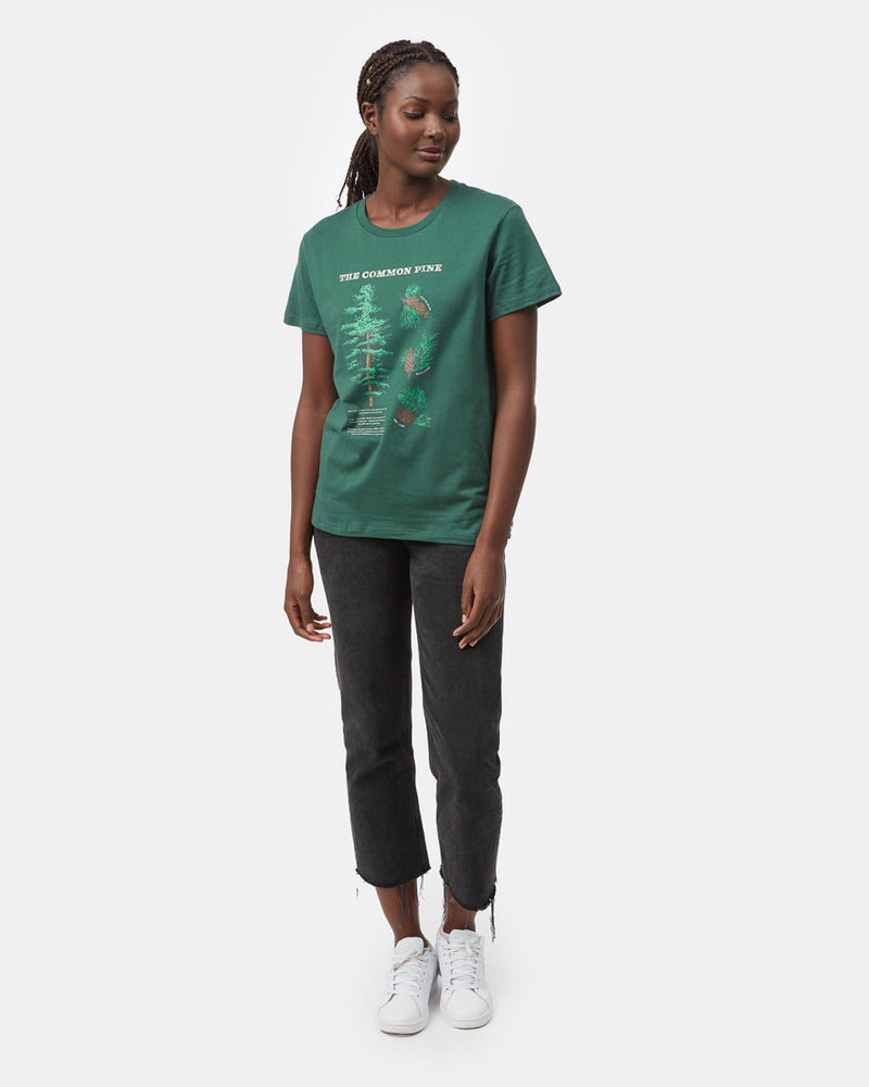 green_graphic_pine_tree_t-shirt