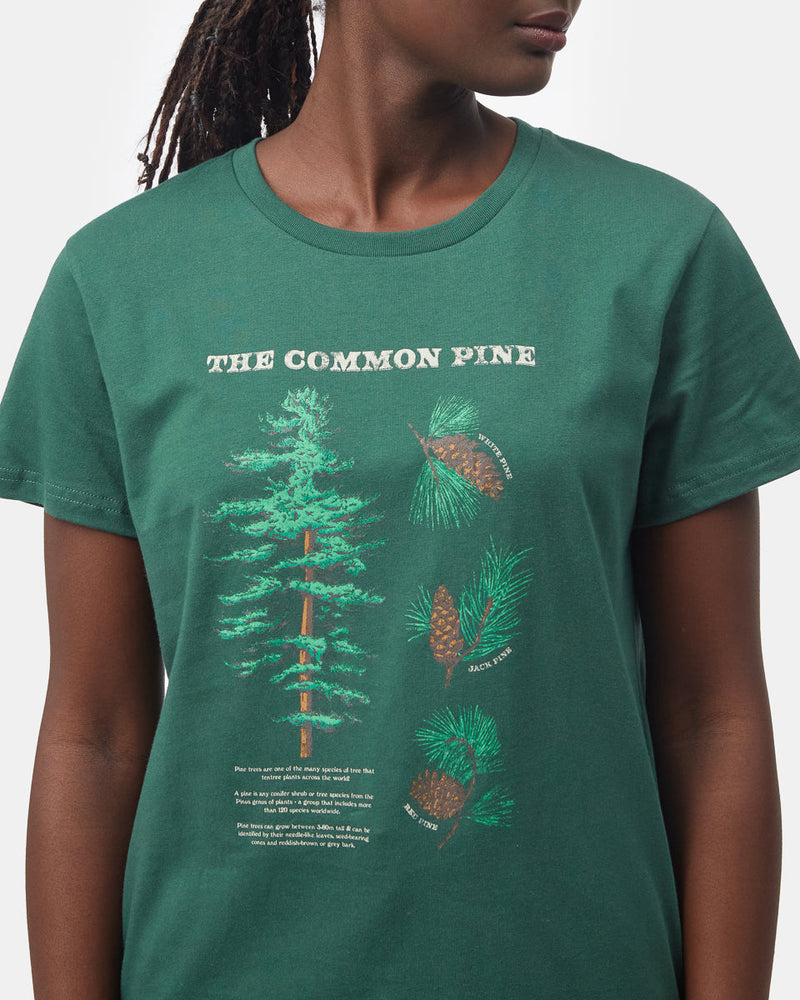 green_graphic_pine_tree_t-shirt