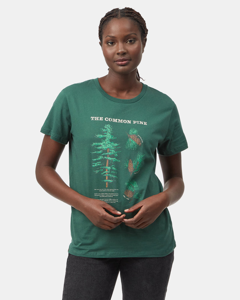 green_graphic_pine_tree_t-shirt